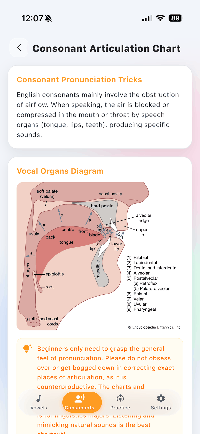 Consonant Anatomy Map App Screenshot