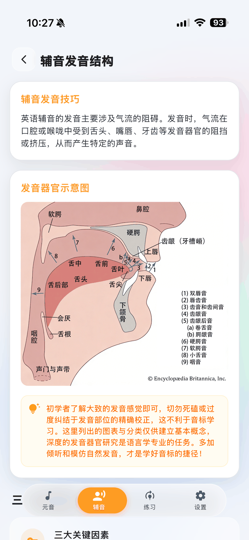 辅音人体发音部位图实机截图